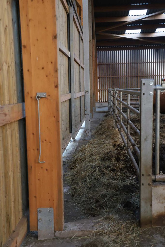 Bâtiment agricole vaches allaitantes - couloir de circulation