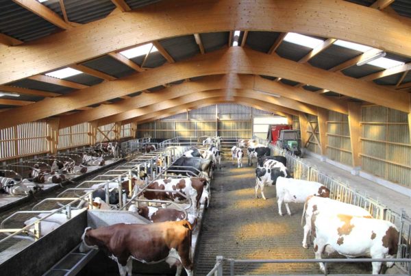 Bâtiment bois lamellé collé dans les Vosges