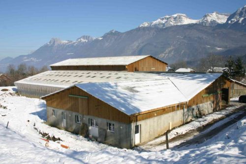 bâtiment vaches laitières bois