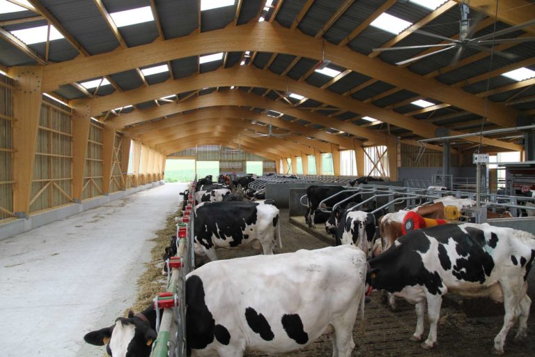 Stabulation 130 vaches laitières en Alsace (67) - Agribat-concept