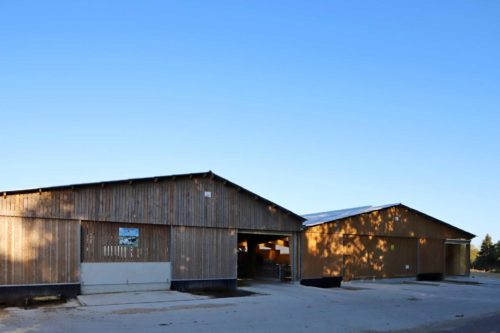 Hangar vaches laitières