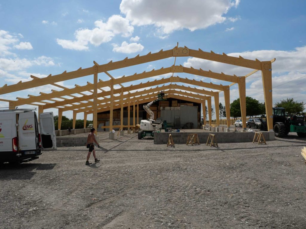 Montage d'un hangar en bois lamellé collé pour vaches allaitantes