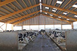 Faitière ventilée ouverte