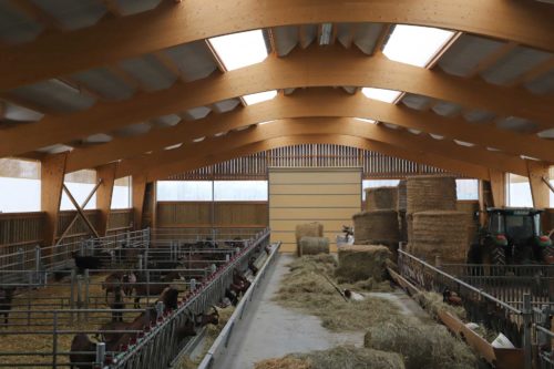 Stabulation chèvres dans l'Yonne