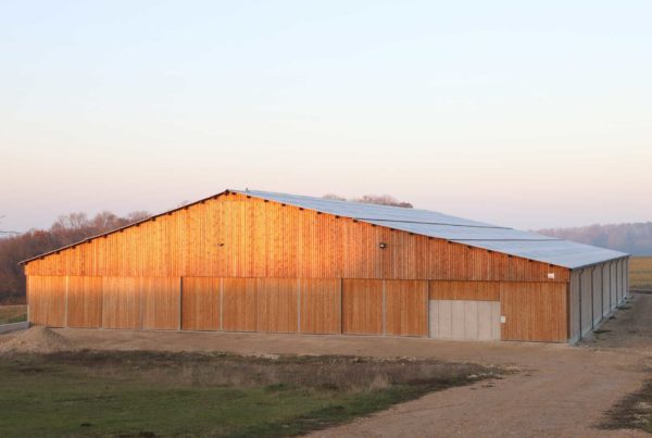 Stabulation vaches allaitantes 3000 m² - bardage bois