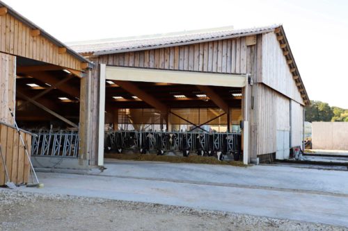 Stabulation vaches laitières - Porte rideau